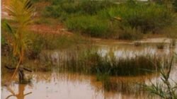 Lapor Pak Kapolres, Ada Aktivitas Tambang Ilegal Tidak jauh Dari Jalan Raya