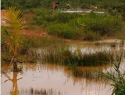 Lapor Pak Kapolres, Ada Aktivitas Tambang Ilegal Tidak jauh Dari Jalan Raya