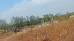 Tambang Jenis User User Beraktivitas di DAS Tanjung, Desa Sungai Buluh