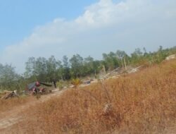 Tambang Jenis User User Beraktivitas di DAS Tanjung, Desa Sungai Buluh